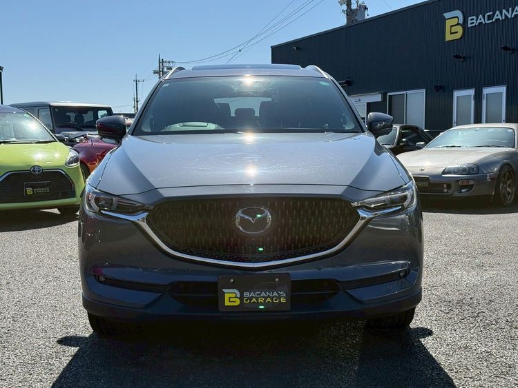 MAZDA CX-8 XD L PACKAGE thumbnail 13