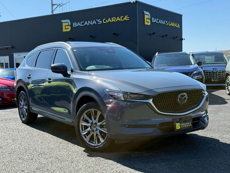 MAZDA CX-8 XD L PACKAGE thumbnail 7