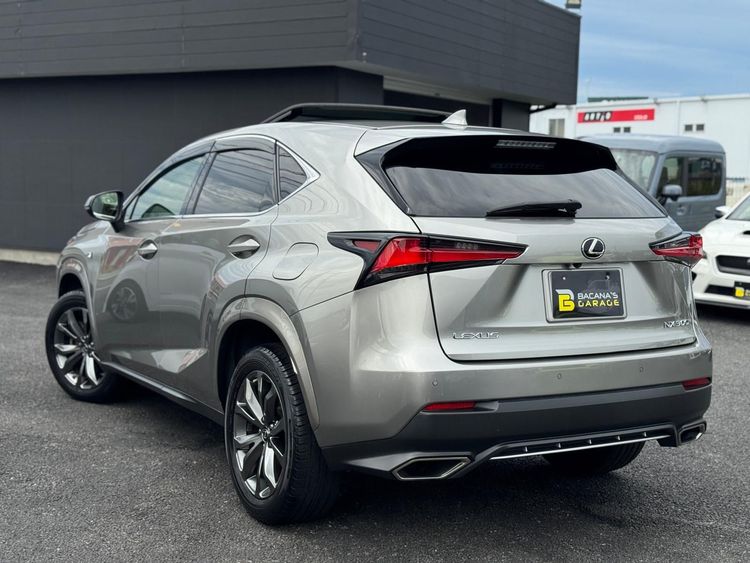 LEXUS NX 300F S SPORT thumbnail 16