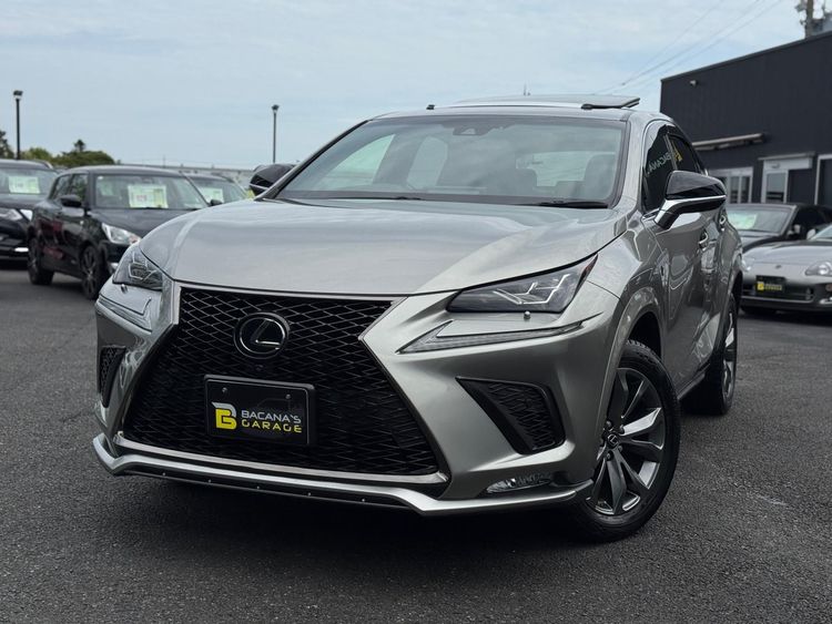 LEXUS NX 300F S SPORT thumbnail 13