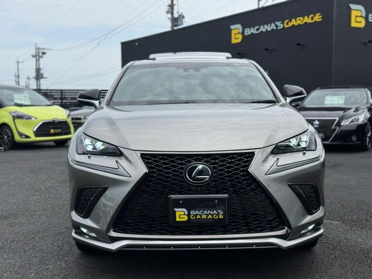 LEXUS NX 300F S SPORT thumbnail 21